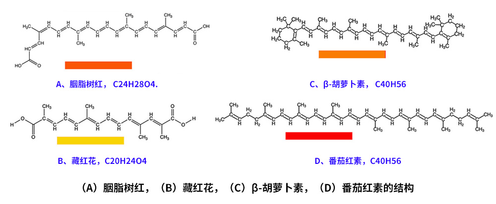 藏紅花、胭脂樹紅、β-胡蘿卜素、番茄紅素的化學(xué)結(jié)構(gòu)