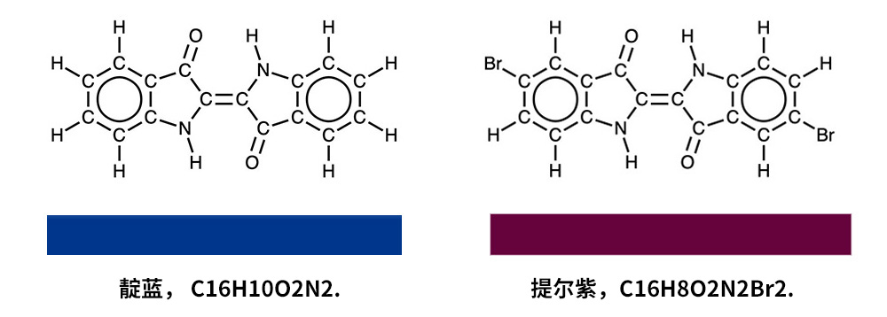 靛藍和提爾紫的結(jié)構(gòu)