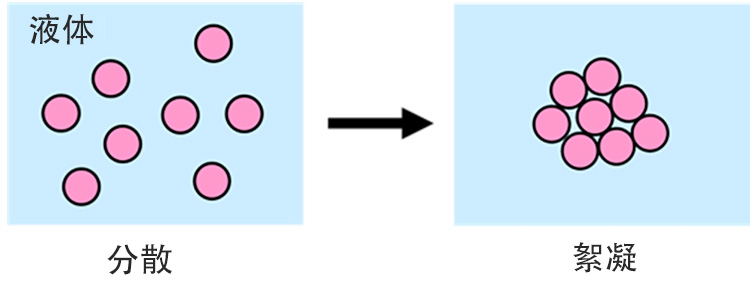 絮凝：固體顆粒在液體膠合中結(jié)合在一起